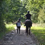 Bed & Breakfast Et D'hote De L'elevage Du Lattay