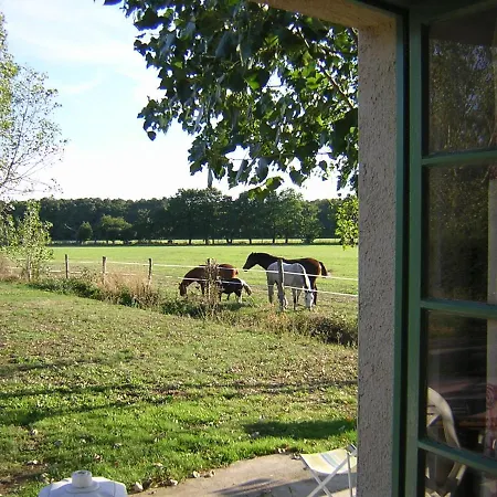 D'hote De L'elevage Du Lattay Bed & Breakfast