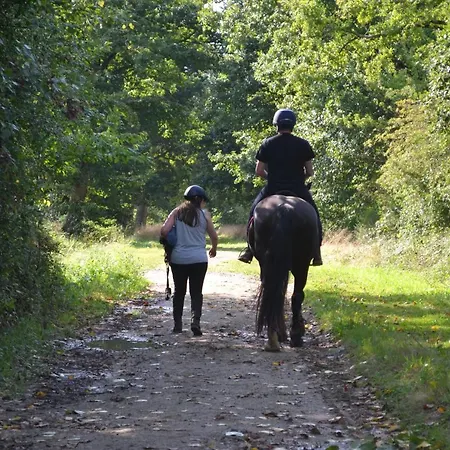 Bed & Breakfast Et D'hote De L'elevage Du Lattay