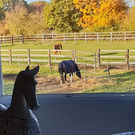 Panzió Et D'hote De L'elevage Du Lattay 3*