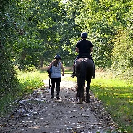 Et D'hote De L'elevage Du Lattay Les Hauts-d'Anjou