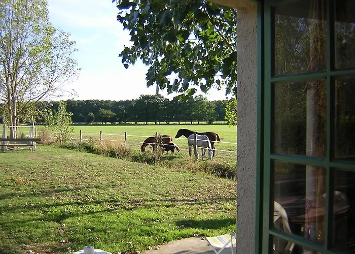 Et D'hote De L'elevage Du Lattay Bed and Breakfast