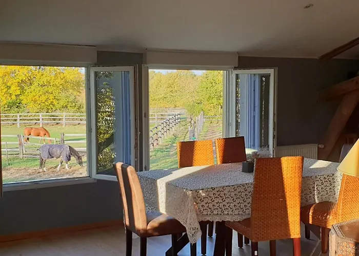 Et D'hote De L'elevage Du Lattay 3* Les Hauts-d'Anjou