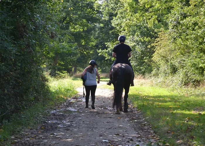 Bed and Breakfast Et D'hote De L'elevage Du Lattay