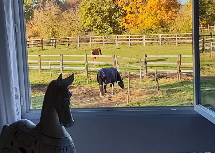 Bed and Breakfast Et D'hote De L'elevage Du Lattay 3*