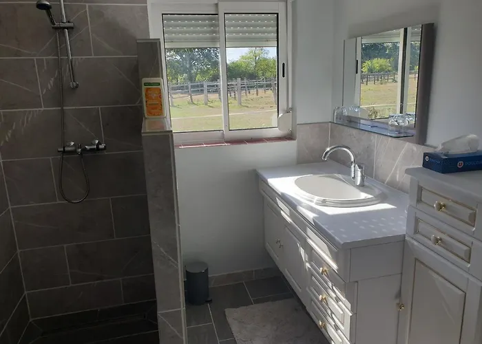 Bed & Breakfast Et D'hote De L'elevage Du Lattay Les Hauts-d'Anjou