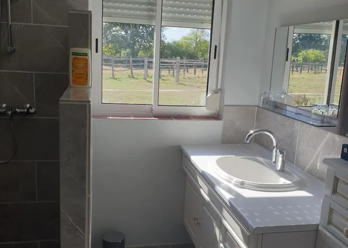 Bed and Breakfast Et D'hote De L'elevage Du Lattay Les Hauts-d'Anjou